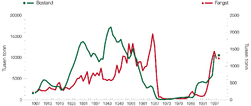 Figur 2.3 Utvikling i gytebestand og fangst av norsk vårgytende
 sild, 1907–1998. Aksene for bestand og fangst har ulike
 intervaller for å tydeliggjøre fangsttrenden i
 forhold til gytebestanden.