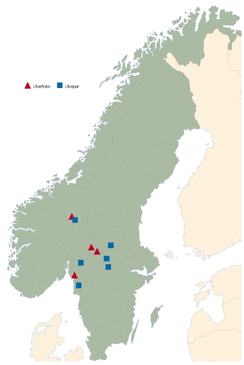 Figur 2.5 Ulv i Skandinavia. Kart som viser hvor familiegruppene holder
 til. Kartet viser ikke alle områder der ulv er observert – kun
 etablerte familier eller par.