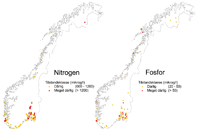 Figur 5.1 Tilstandsklasser for nitrogen- og fosforkonsentrasjon i 1 800
 norske innsjøer i 1995.