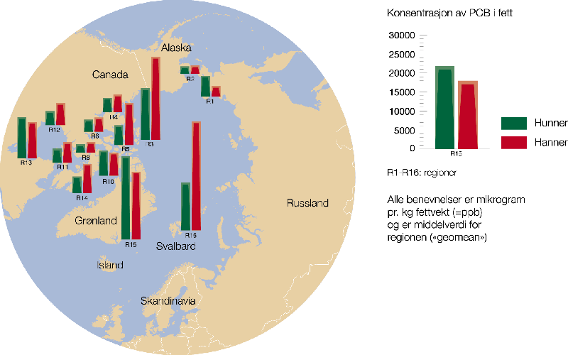 Figur 9.4 Nivå av miljøgiften PCB i isbjørn
 i ulike deler av Arktis. Prøver av fettvev i perioden 1989–1993.
