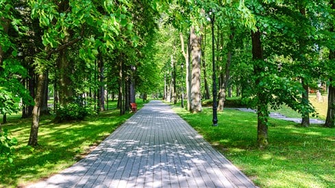 Park med grønne trær, gangvei i stein i midten