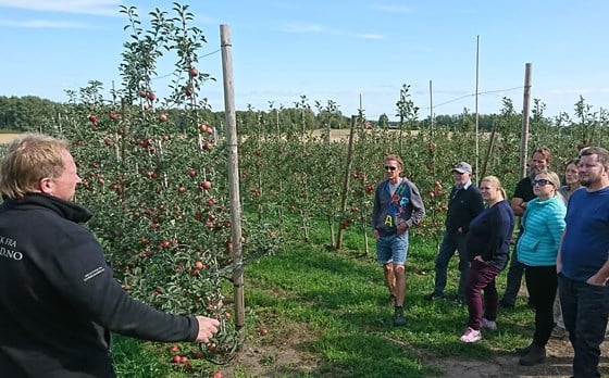 Fruktdyrkarar lærer om økologisk epleproduksjon på Dyre gard i Moss.