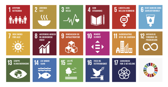 Figur 5.1 FNs 17 bærekraftsmål.

