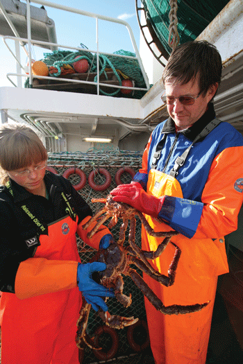 Figur 3.15 Foto: Ann Merete Hjelset, Havforskningsinstituttet