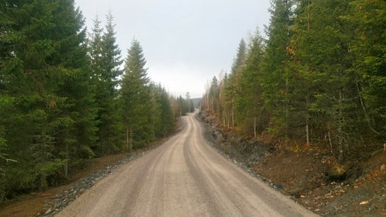 Skogsveg i Nord-Trøndelag.
