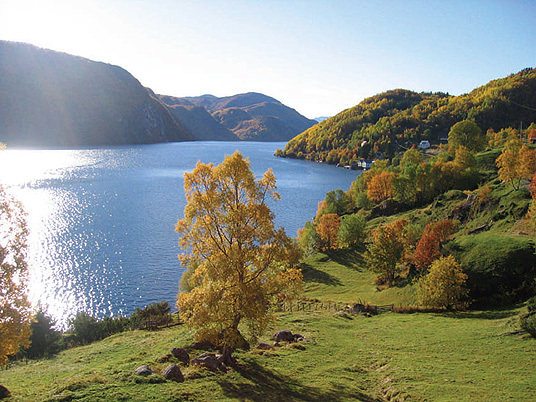 Kulturlandskap: Engan i Sørfold kommune i Nordland. Foto: Terje Nystadbakk.