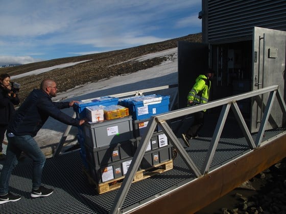 The seeds are transported into the Svalbard Global Seed Vault