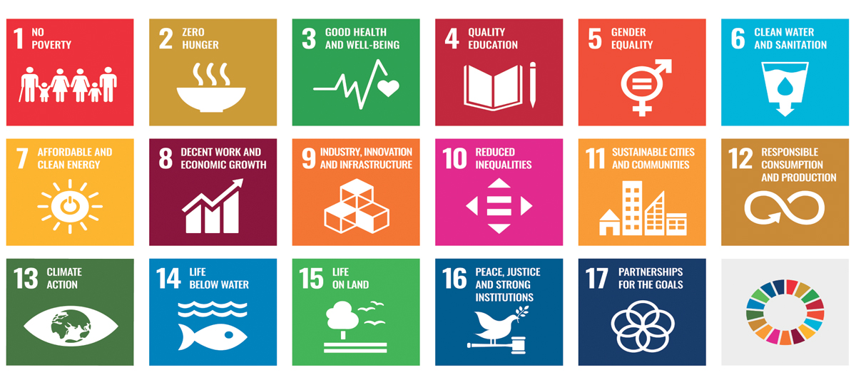 Figure 2.2 The Sustainable Development Goals
