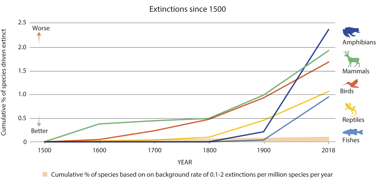 Figur 3.3 Akkumulert andel av dyreartene som er utryddet, 1500–2018