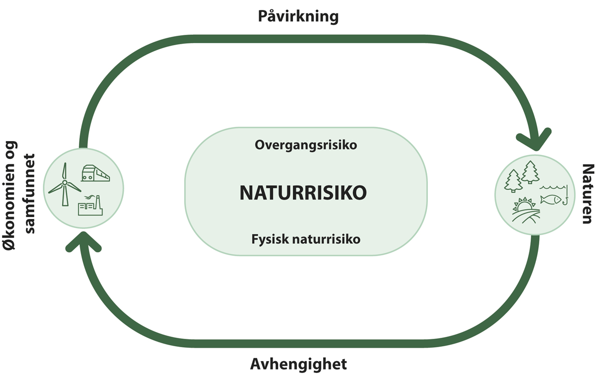 Figur 4.2 Naturrisiko ser både på avhengighet og på påvirkning – dobbel vesentlighet