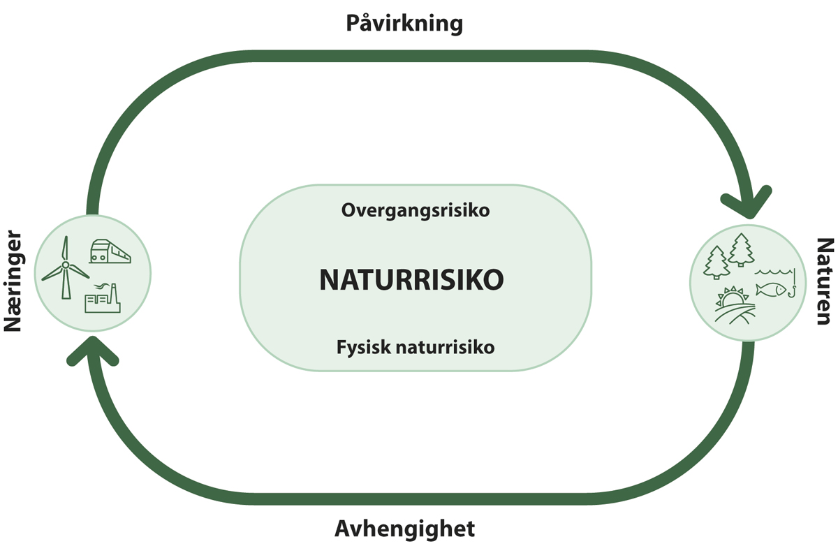 Figur 6.1 Naturrisiko inkluderer både avhengighet av og påvirkning på natur for næringer og deres aktiviteter – dobbel vesentlighet