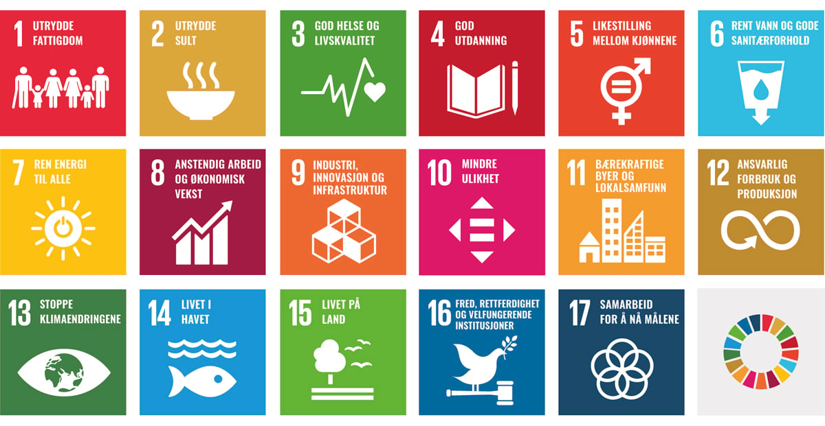 Figur 11.2 FNs bærekraftsmål.
