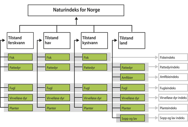 Figur 4.6 Naturindeksen – indikatorer fordelt på hovedøkosystem – et rammeverk for økologisk verdsetting.