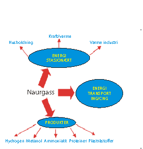 Figur 2.3 Naturgassanvendelser
