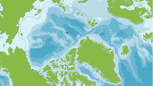 Den arktiske region