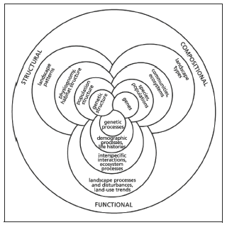 Figur 4.1 Illustrasjon som viser hvordan det komplekse begrepet biologisk
 mangfold kan struktureres etter innhold, struktur og funksjon, på ulike
 organisasjonsnivåer (fra Noss 1990).