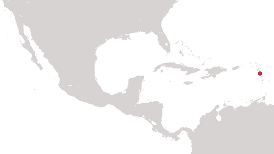 Dominica. Illustrasjon: Torbjørn Vagstein