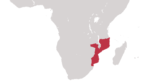 Mosambik.  Illustrasjon: Torbjørn Vagstein