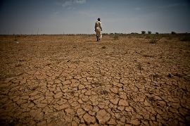 Uttørret mark i Mauritania