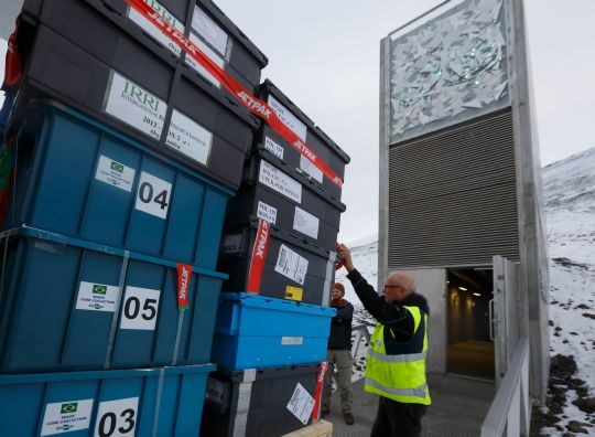 Seed boxes from Brazil and 16 other countries arrive at the vault