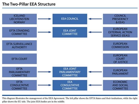 The two-pillar EEA structure.