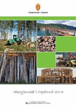 Rapport: Skogbruket i Oppland 2013