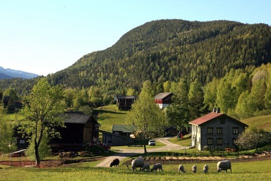 Kravik i Nore og Uvdal kommune, Buskerud