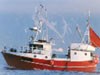 Foto: Eksportutvalget for fisk