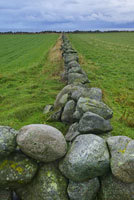 Steingjerde på Jæren. Foto: Bård Løken, Samfoto
