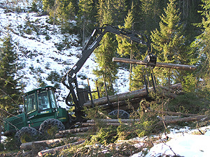 Moderne skogsdrift. Foto: Pål Morten Skollerud