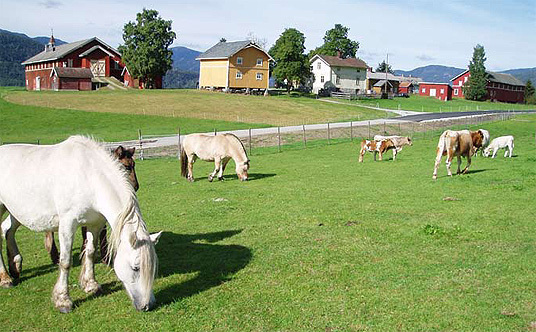 Sambeiting, Sønsteby i Flå. Foto: Pål Morten Skollerud