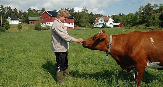 Mjølkeprodusent Håvard Dale i Arendal