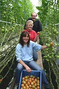 Bjørn Egil, Berit og Hilde Gard er ein av dei første med kommersiell dyrking av økologisk tomat i Rogaland. Dei har i fleire år levert økologisk tomat til Bama og COOP. Foto: Arne J. Lyshol
