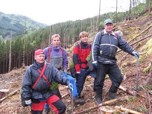 Slovakar i arbeid med skogplanting. Foto: Asle Lyslo, Sogn og Fjordane skogeigarlag