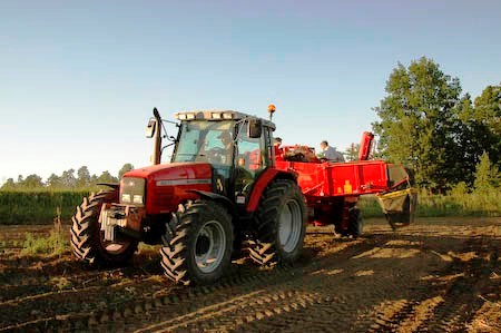 Mat: traktor for opptak av poteter. Foto: Runhild Dammen.