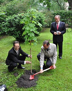 H.K.H. Kronprins Haakon planter tre