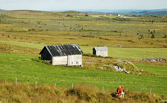 Fjellnandbruk Trettestølan