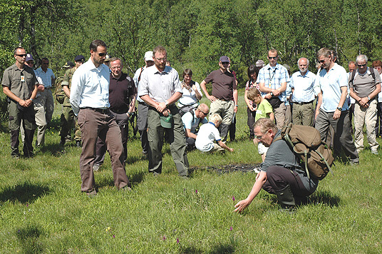Professor Reidar Elven fra Universitetet i Oslo orienterer HKH Kronprins Haakon og følget om botanikken på slettemyr i Vangrøftdalen og viser fram myrorkidéer. Foto: LMD