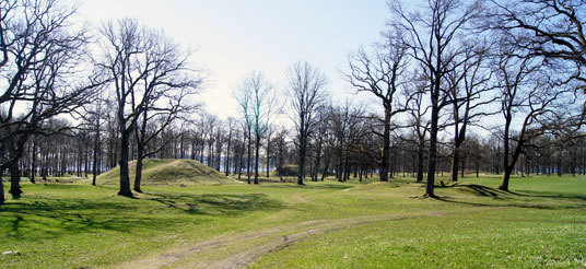 Borrehaugene i Vestfold. Foto: Petter Koren©Riksantikvaren.