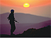 Forsvarets veteraner - logo
