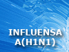 Influensa A(H1N1)
