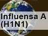 Influensa A(H1N1)