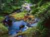 Norsk natur. Foto: Colourbox