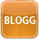 E-valgbloggen