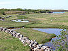 Blomsøya steinutgard.