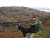 Fylkesnytt: Børgefjell. Foto: Verneprosjektet