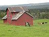 Seterlandskap på Golsfjellet