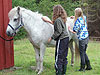Barn og hest