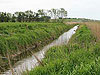 Fylkesnytt: Kanal Skas-Heigre, Dyrsjaland