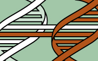 GMO